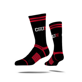 California State University Northridge