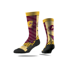 Central Michigan University