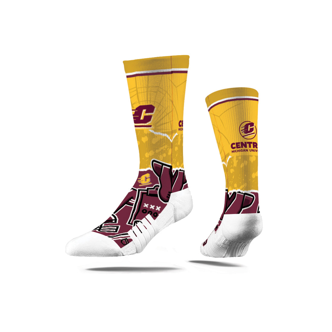 Central Michigan University