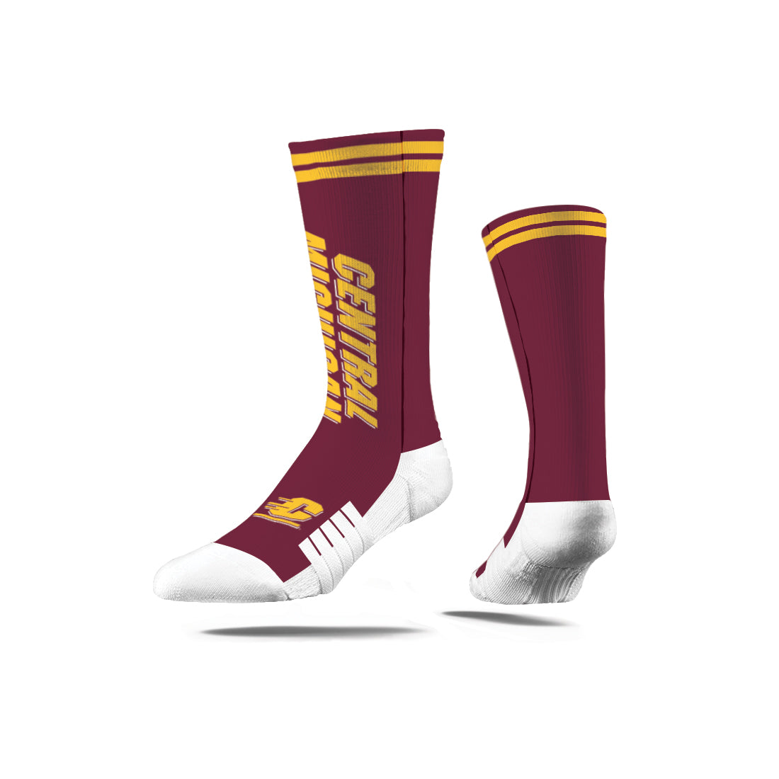 Central Michigan University