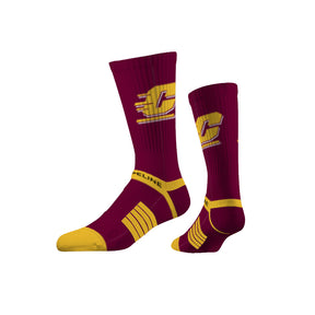 Central Michigan University