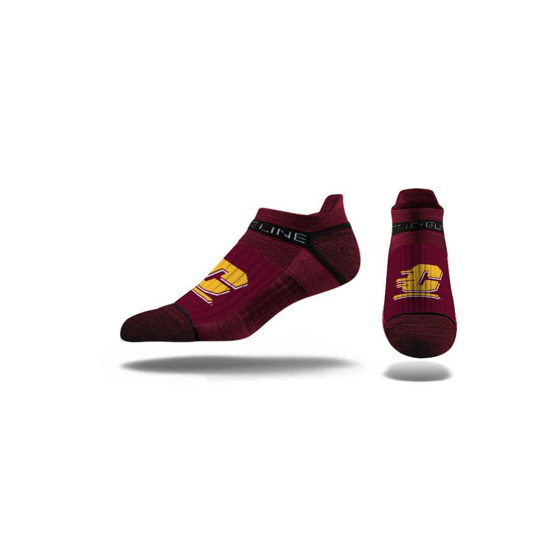 Central Michigan University