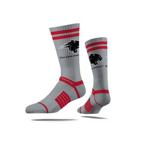 Clark Atlanta University