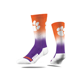 Clemson University