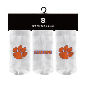 Clemson University