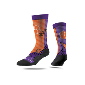 Clemson University