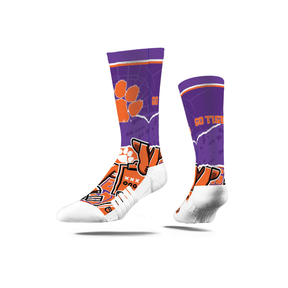 Clemson University