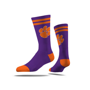 Clemson University