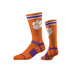 Clemson University