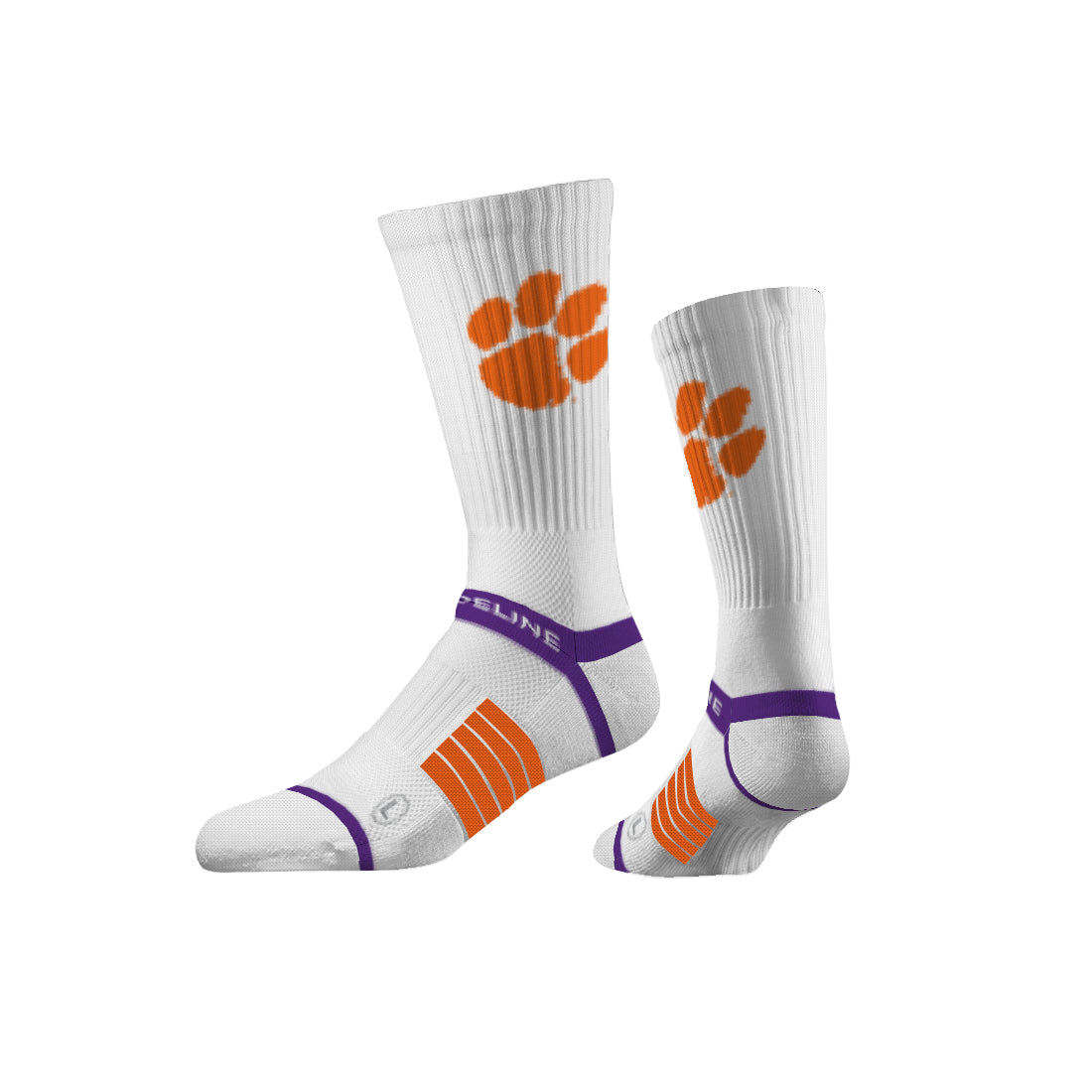 Clemson University