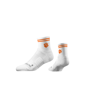Clemson University