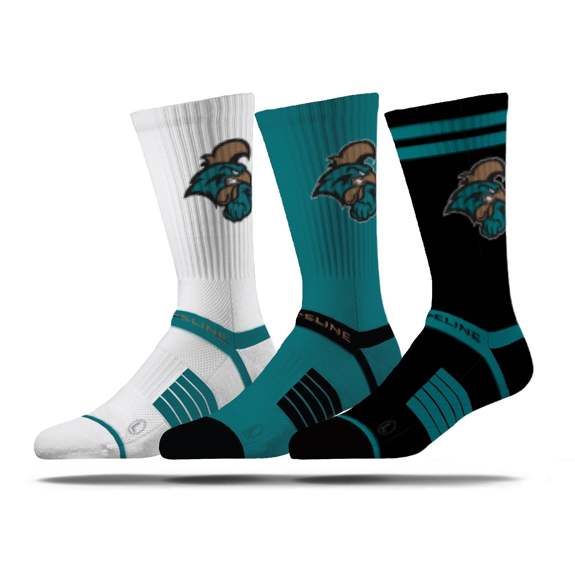 Coastal Carolina University