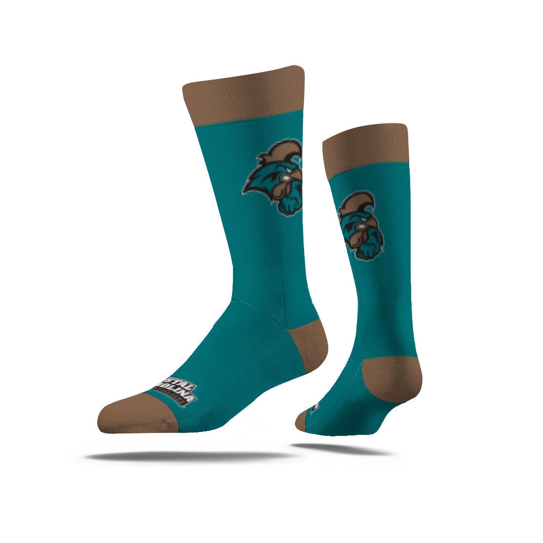 Coastal Carolina University
