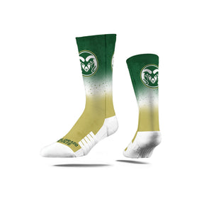 Colorado State University