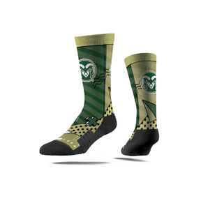 Colorado State University