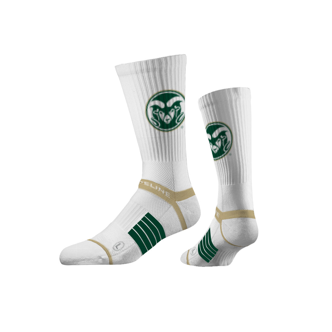 Colorado State University