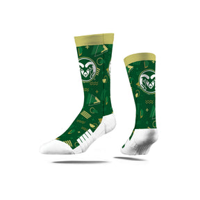 Colorado State University