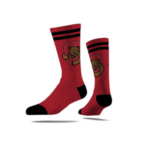 Cornell University
