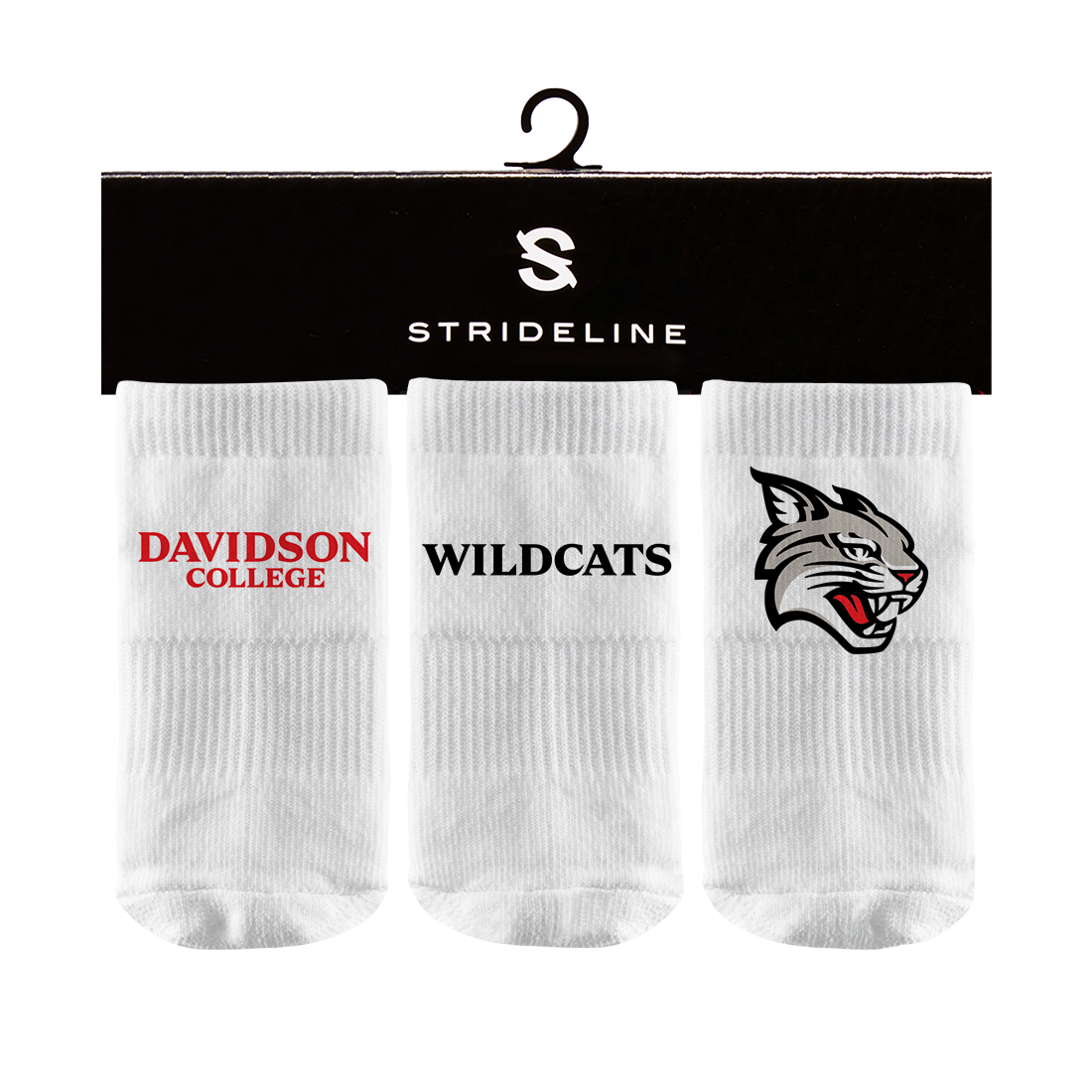 Davidson College