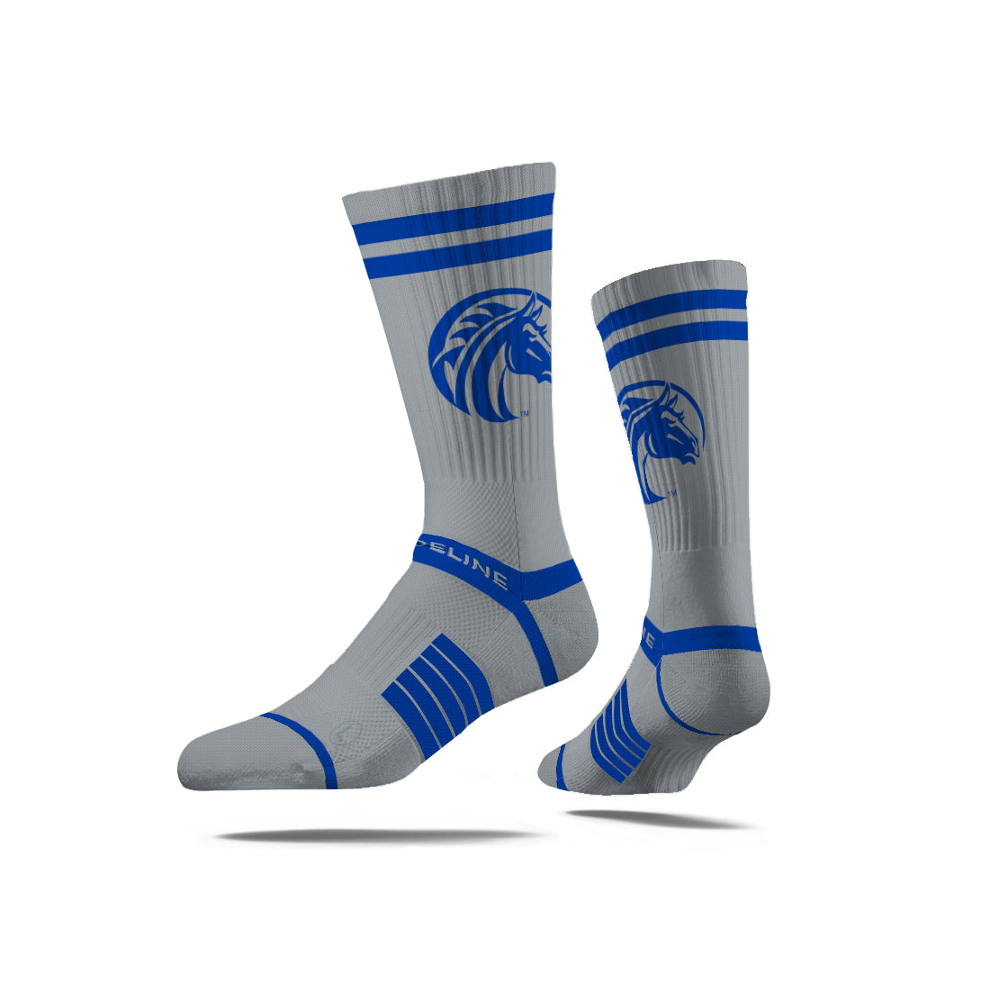 Fayetteville State University