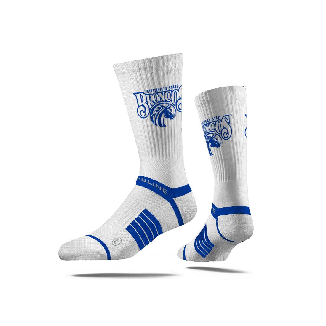 Fayetteville State University