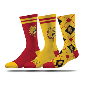 Ferris State University