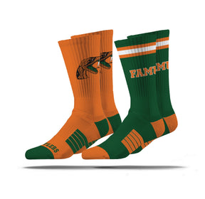 Florida A&M University