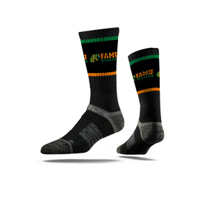 Florida A&M University