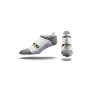 Florida A&M University