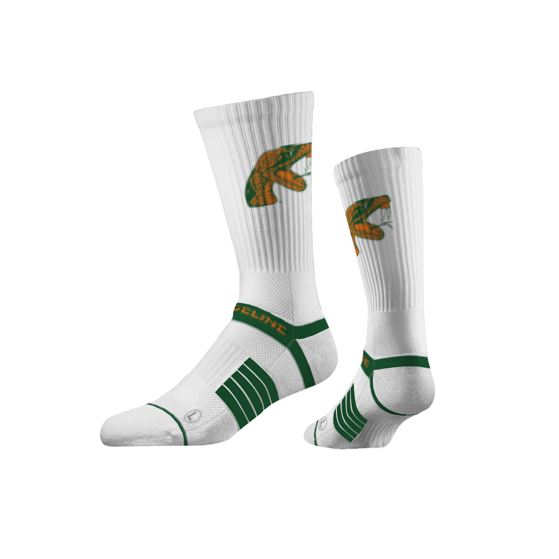 Florida A&M University