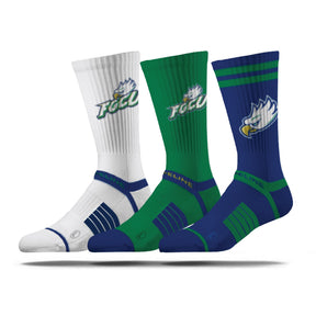Florida Gulf Coast University