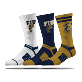 Florida International University