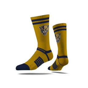 Florida International University