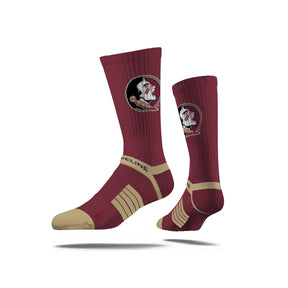 Florida State University