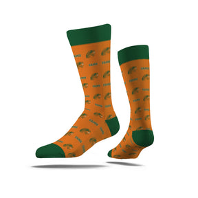 Florida A&M University