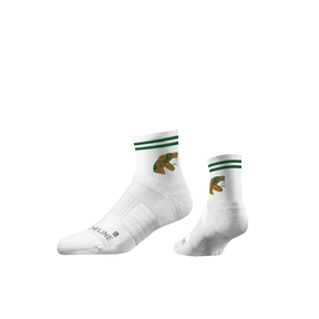 Florida A&M University