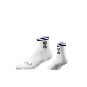 Florida International University