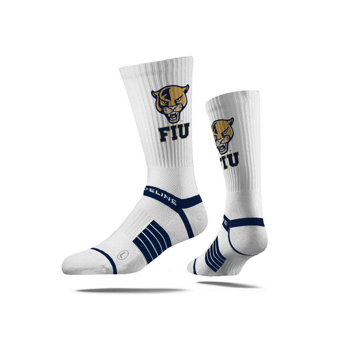 Florida International University