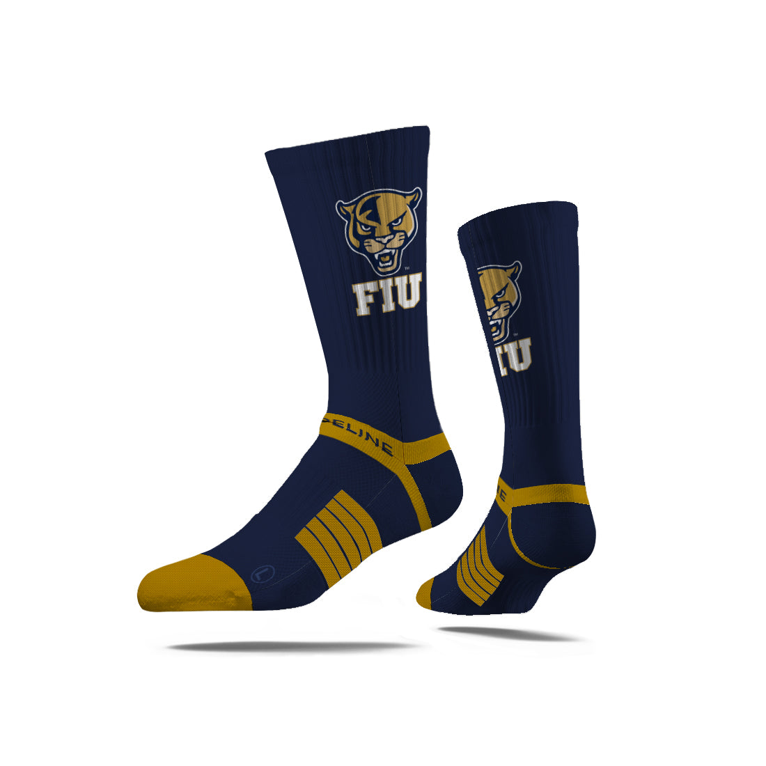 Florida International University