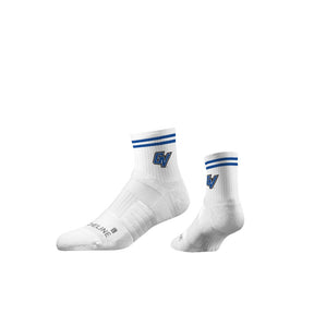 Grand Valley State University