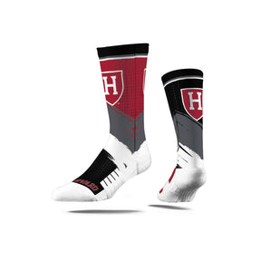 Harvard University