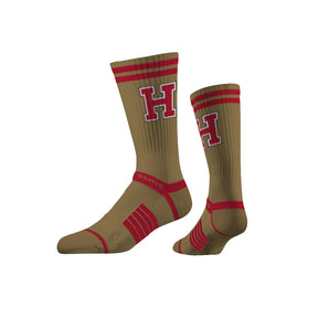 Harvard University
