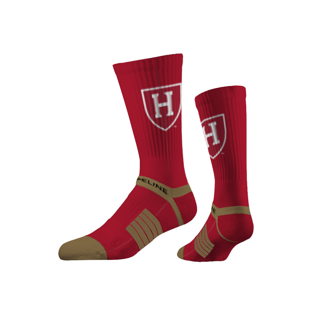 Harvard University