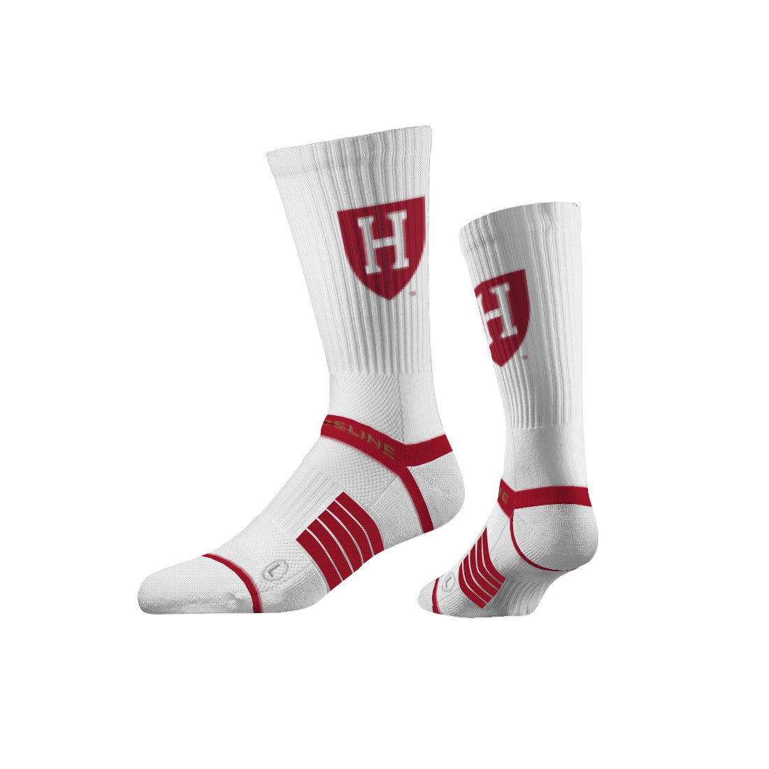 Harvard University