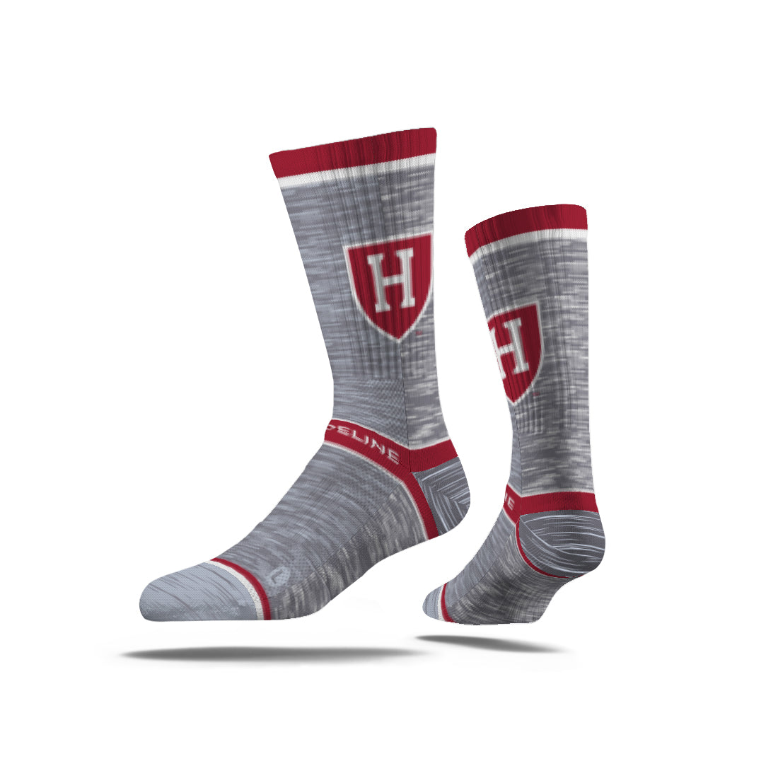 Harvard University