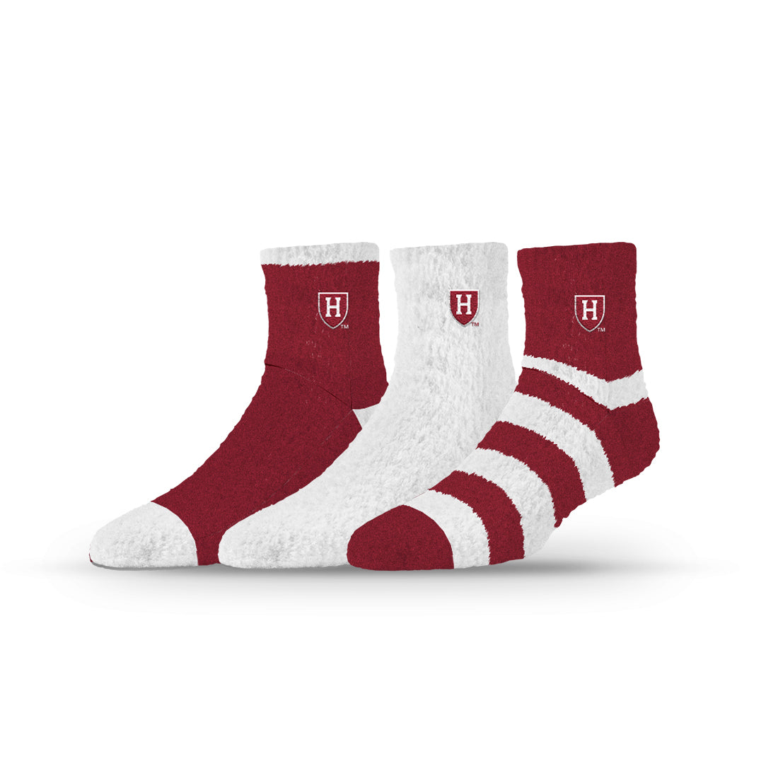 Harvard University