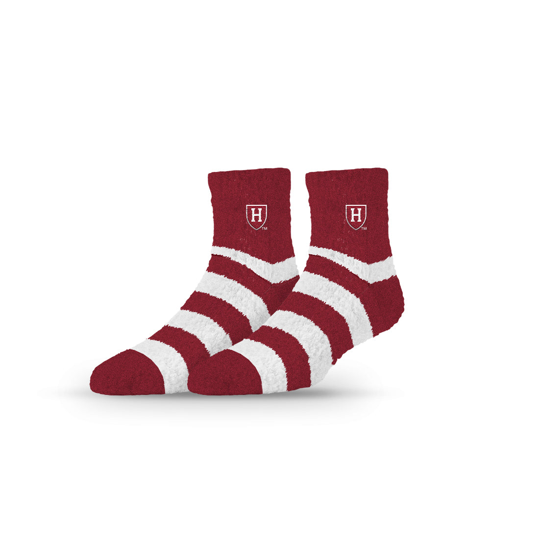 Harvard University