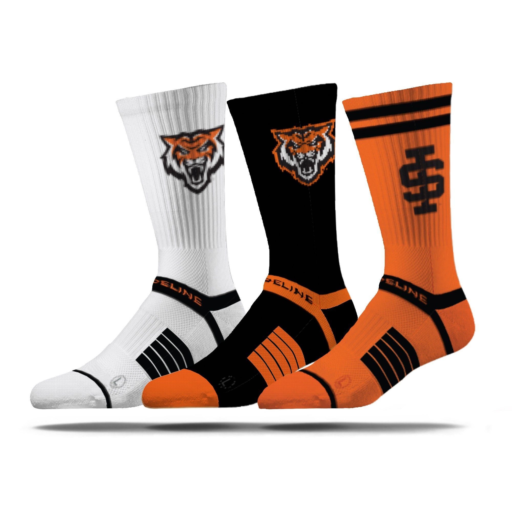 Idaho State University