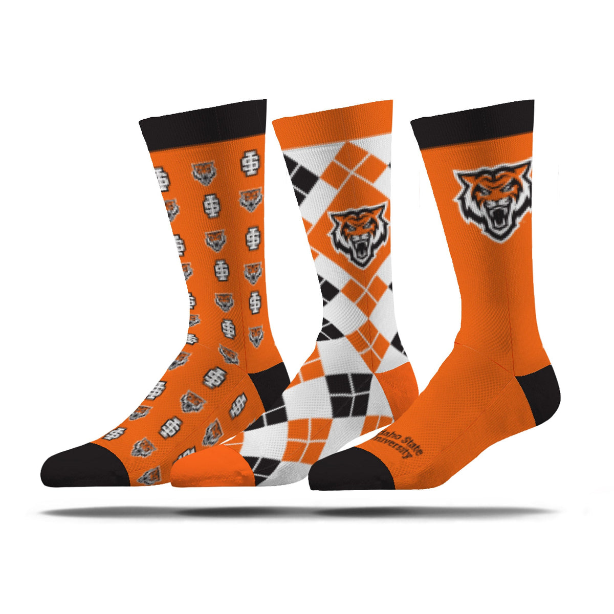 Idaho State University