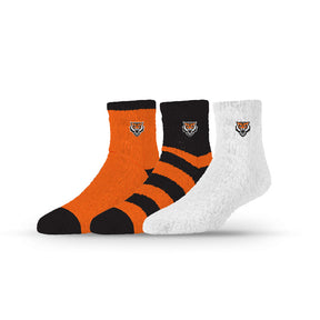 Idaho State University